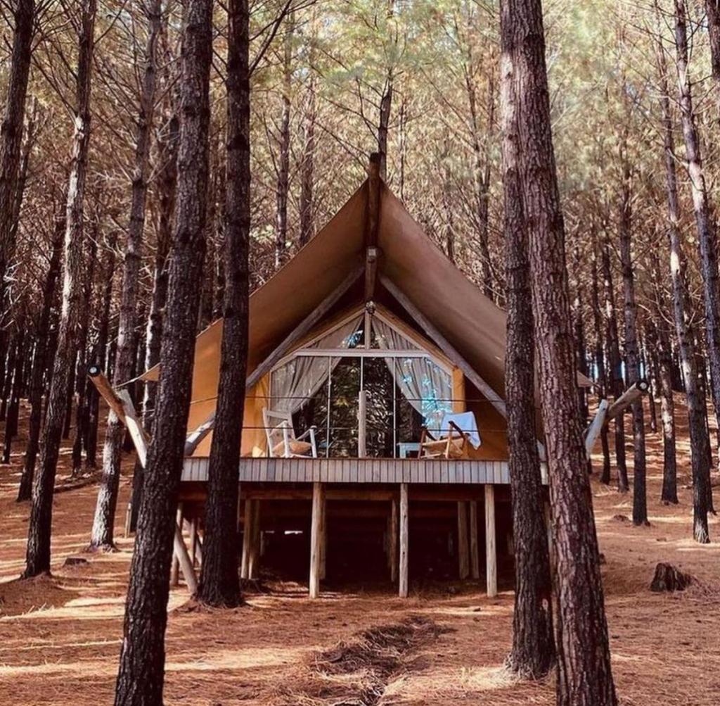 Tenda Luxo